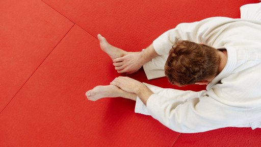 Pedro's Judo: Mastering the Art of Discipline and Strength