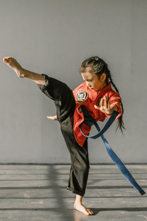 Mastering Kyokushin Karate Online