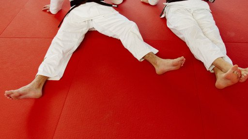 Judo Wrestling Techniques