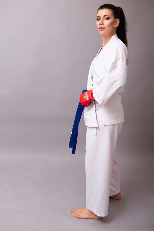 Kyokushin Karate Belt Guide